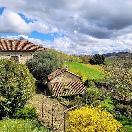 Barbera In Cascina Marenco Langhe