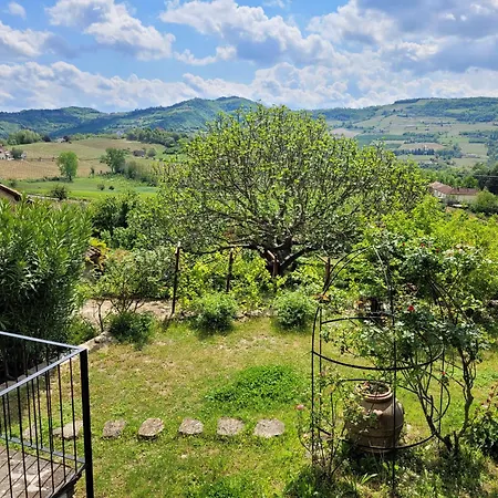 Barbera In Cascina Marenco Langhe * Cessole