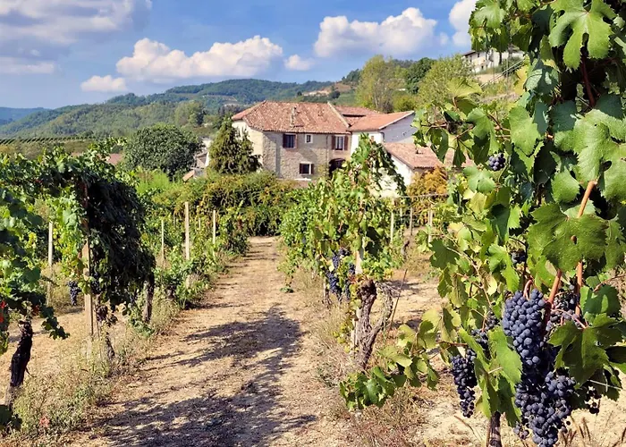 Apartamento Barbera In Cascina Marenco Langhe *