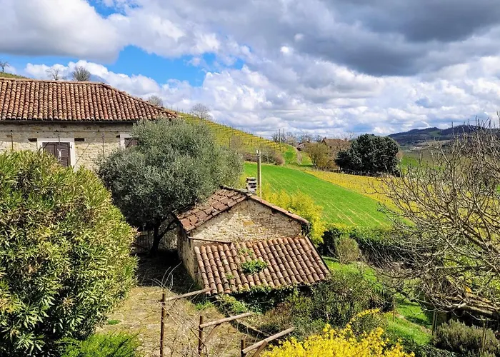 Barbera In Cascina Marenco Langhe