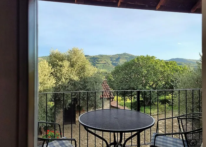 Barbera In Cascina Marenco Langhe